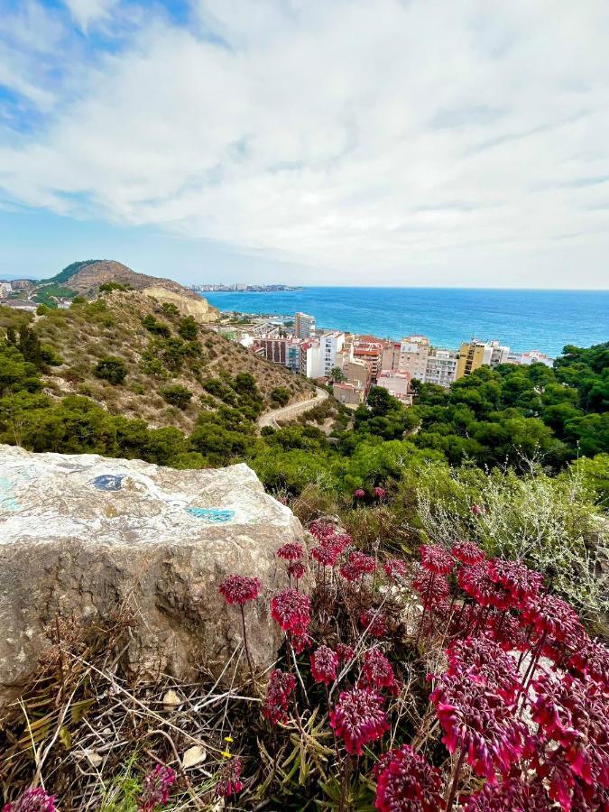 Hanna'S Estudio Deluxe Alicante Luaran gambar